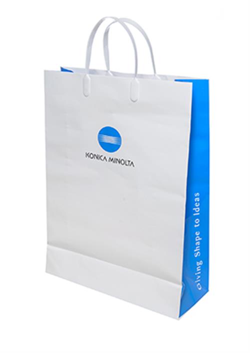 Paper Bag - Large - Concept Partners - Promotional Products